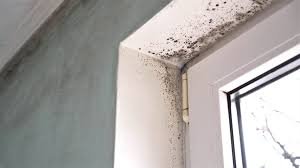 Umidade e infiltrações